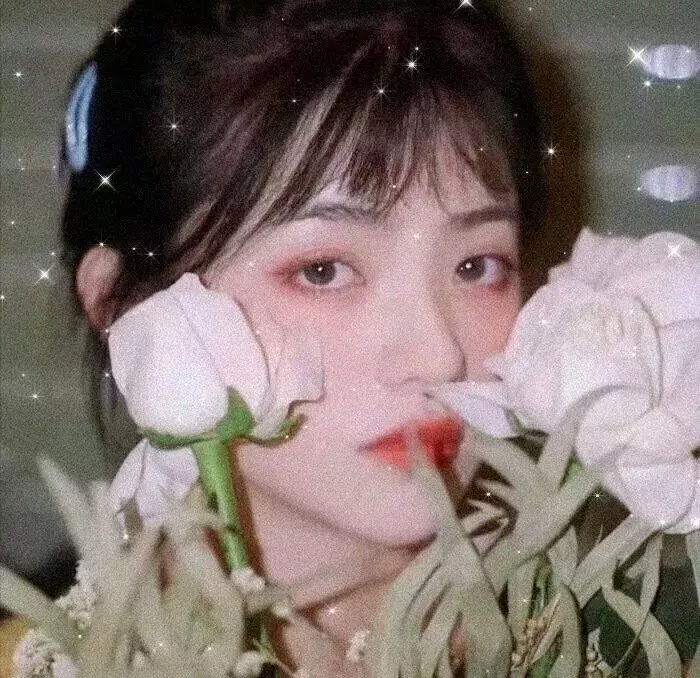 我的街区第二季