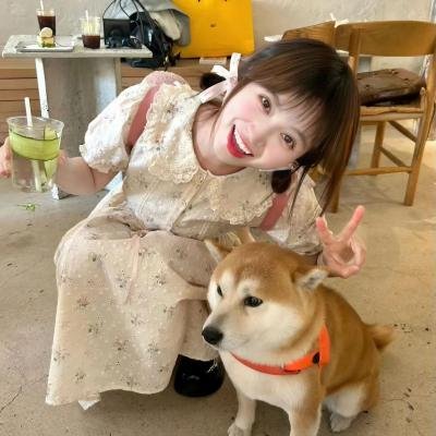 震荡效应